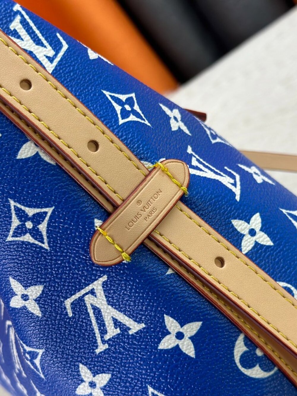 NWT - Louis Vuitton Authentic Bags - Picture 7 of 9